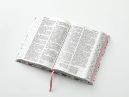 Image of Biblia RVR 1960 Letra GrandeTamaño Manual Tapa Dura Primavera blanca Tapa Dura