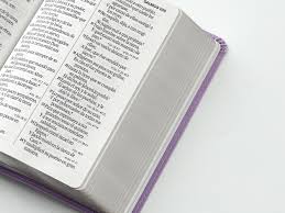 Image of Biblia RVR 1960 Letra Grande Tamaño Manual Neoclassic Lila Símil Piel