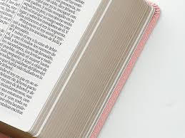 Image of Biblia RVR 1960 Letra Grande Tamaño Manual Neoclassic Rosa Símil Piel