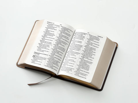 Image of Biblia RVR 1960 Letra Grande Tamaño Manual Bicolor Café Café Símil Piel