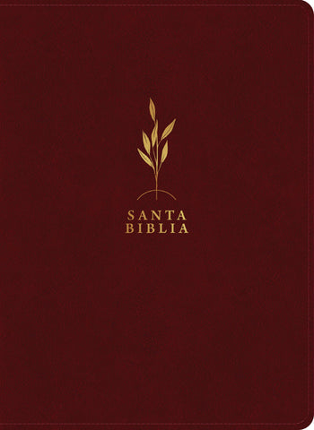 Image of Biblia RVR 1960 de Estudio del Diario Vivir Letra Grande Símil Piel Vino Tinto Índice Letra Roja