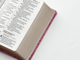 Image of Biblia RVR 1960 Letra Grande Tamaño Manual Bicolor Rosa Rosa Símil Piel