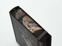 Image of Biblia RVR 1960 Tamaño Manual Letra Grande Tapa Dura León de Judá Tapa Dura