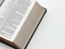 Image of Biblia RVR 1960 Letra Grande Tamaño Manual Bicolor Negro Gris Símil Piel
