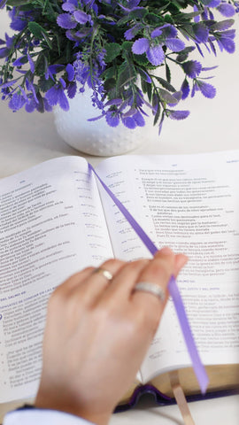 Image of Biblia NBLA para el Estudio Inductivo Piel Interior a dos Colores Morado Comfort Print