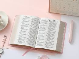 Image of Biblia RVR 1960 Letra Grande Tamaño Manual Neoclassic Rosa Símil Piel