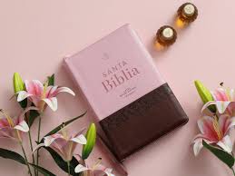 Image of Biblia RVR 1960 Letra Super Gigante Simil Piel Rosa Con Cierre y Indice