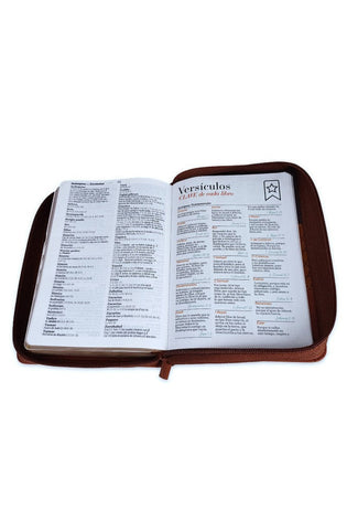 Image of Biblia RVR 1960 Letra Grande Compacta 11 Puntos Tricolor Café Símil Piel con Índice con Cierre