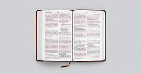 Image of ESV THINLINE BIBLE (TRUTONE, BROWN, ROYAL LION)