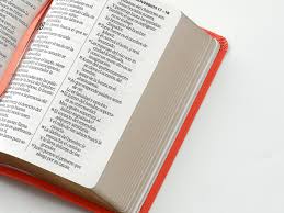 Image of Biblia RVR 1960 Letra Grande Tamaño Manual Neoclassic Coral Símil Piel
