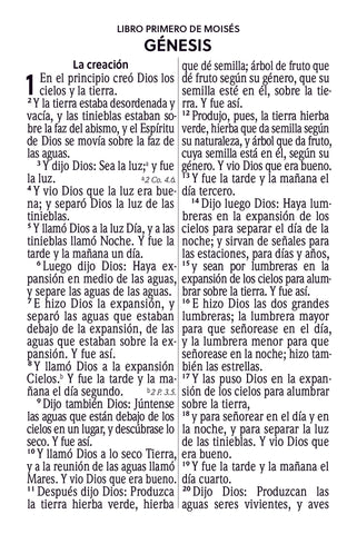 Image of Biblia RVR 1960 Compacta Letra Grande 11 puntos Símil Piel Melon Beige Granate Oscuro