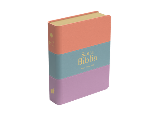 Image of Biblia RVR 1960 Bolsillo Símil Piel Tricolor Palo Rosa Celeste Lila