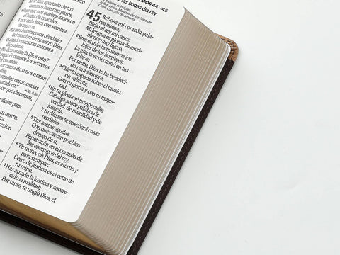 Image of Biblia RVR 1960 Letra Grande Tamaño Manual Bicolor Café Café Símil Piel