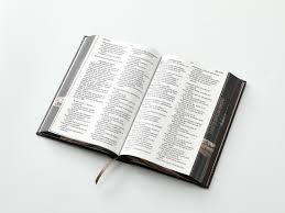 Image of Biblia RVR 1960 Tamaño Manual Letra Grande Tapa Dura León de Judá Tapa Dura