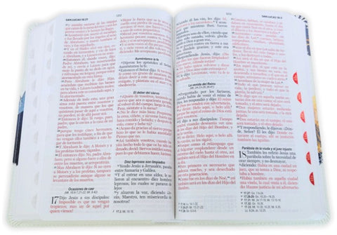Image of Biblia RVR 1960 Tamaño Manual Letra Grande Colección Supreme Águila sobre Montañas Símil Piel