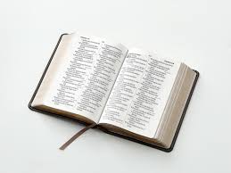 Image of Biblia RVR 1960 Letra Grande Tamaño Manual Neoclassic Mokka Símil Piel