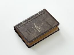 Image of Biblia RVR 1960 Letra Grande Tamaño Manual Neoclassic Mokka Símil Piel