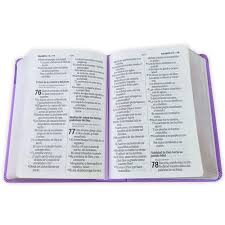 Image of Biblia RVR 1960 Letra Grande Tamaño Manual Neoclassic Lila Símil Piel