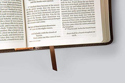 Image of ESV LARGE PRINT COMPACT BIBLE (TRUTONE BERRY, FLORAL DESIGN)