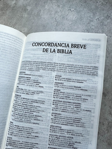 Image of Biblia RVR 1960 Promesas Negro Tapa Dura Concordancia