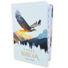 Image of Biblia RVR 1960 Tamaño Manual Letra Grande Colección Supreme Águila sobre Montañas Símil Piel