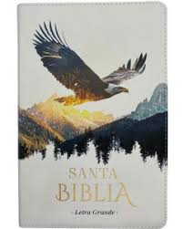 Image of Biblia RVR 1960 Tamaño Manual Letra Grande Colección Supreme Águila sobre Montañas Símil Piel