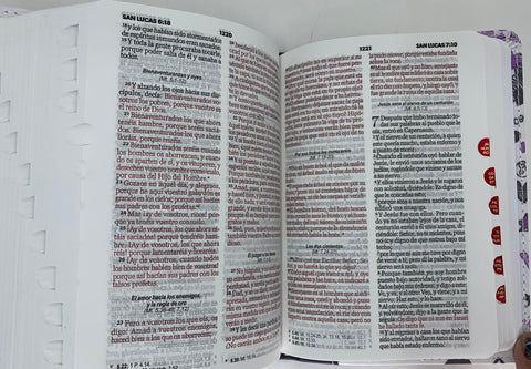 Image of Biblia RVR 1960 Bolsillo Símil Piel Lila con Índice