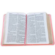 Image of Biblia RVR 1960 Letra Grande Tamaño Manual Neoclassic Rosa Símil Piel