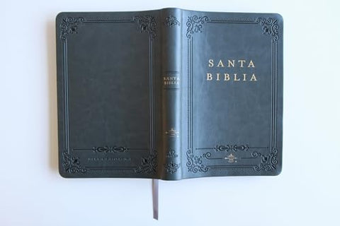Image of Biblia RVR 1960 Letra Grande Tamaño Manual Grís Símil Piel con Índice
