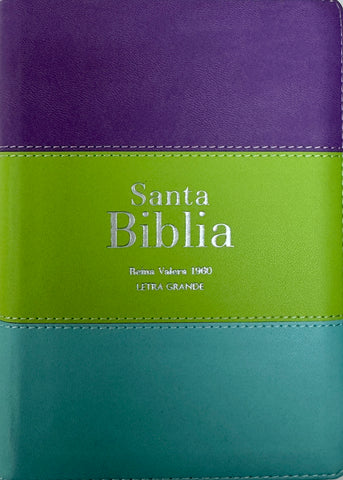 Image of Biblia RVR 1960 Compacta Letra Grande 11 puntos Símil Piel Lila Verde Aguamarina con Cierre y Índice