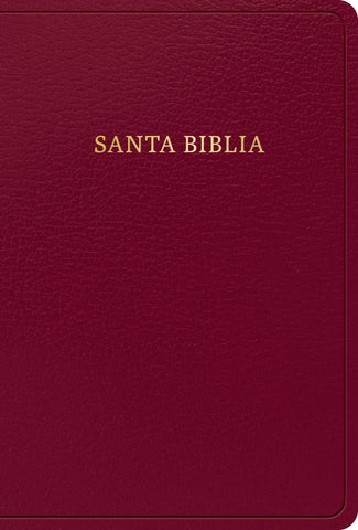 Image of Biblia RVR 1960 Tamaño Manual Símil Piel Borgoña con Índice