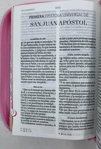 Image of Biblia RVR 1960 Mi Gran Viaje Rosa Corazones Bolsillo Cierre Índice