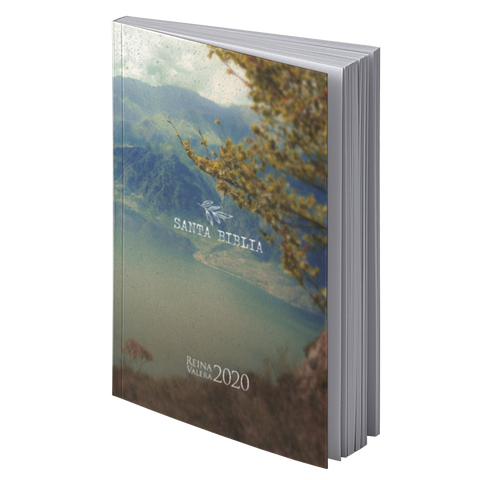 Image of Biblia RVR 2020 Letra Grande La Creación Rústica