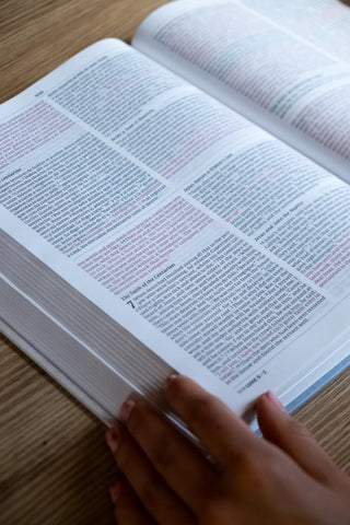 Image of BIBLIA BILINGUE NVI NIV TAPA RUSTICA