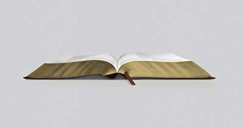 Image of ESV STUDY BIBLE (TRUTONE, CHESTNUT)