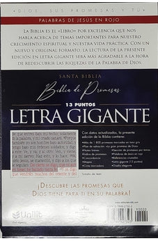 Image of Biblia RVR 1960 de Promesas Letra Gigante Negro Naranja Verde Símil Piel