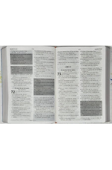 Image of Biblia RVR 1960 de Promesas Letra Gigante Colores Pintura Símil Piel
