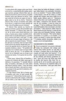 Image of Biblia RVR 1960 de Estudio Spurgeon Duotono Marrón Símil Piel