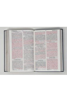 Image of Biblia RVR 1960 Letra Grande Tamaño Manual Tapa Flex León