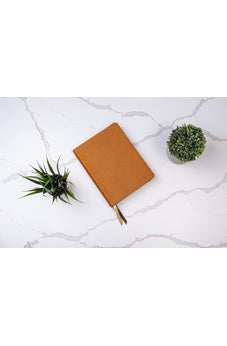 Image of Biblia RVR 1960 Ilustrada de la Tierra Santa Marrón Símil Piel con Índice