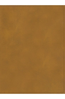 Image of Biblia RVR 1960 Ilustrada de la Tierra Santa Marrón Símil Piel con Índice