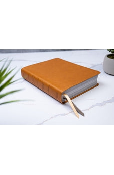 Image of Biblia RVR 1960 Ilustrada de la Tierra Santa Marrón Símil Piel con Índice