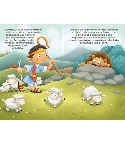 Image of DAVID LIBRO DE LECTURA