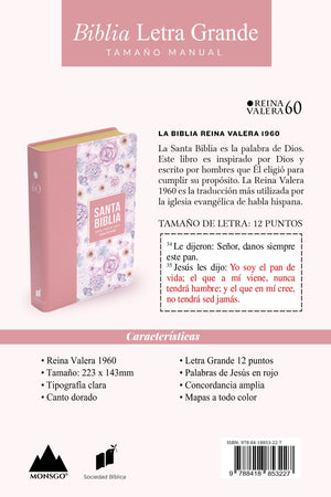 Biblia RVR 1960 Letra Grande Tamaño Manual Símil Piel Rosa Claro