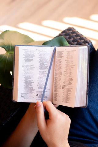 Image of Biblia NBLA Edición Versificada Tamaño Bolsillo Piel Gris Palabras de Jesús en Rojo Comfort Print