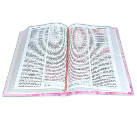 Image of Biblia RVR 1960 Letra Grande 12.5 puntos Tamaño Manual Tapa Flex Flores Rosas