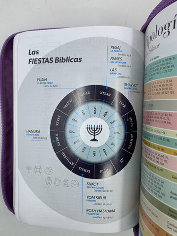 Image of Biblia RVR 1960 Compacta Letra Grande Lila Símil Piel con Cierre