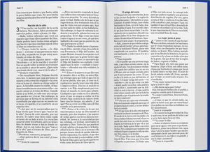 BIBLIA EL MENSAJE ROSA SUAVE SIMIL PIEL