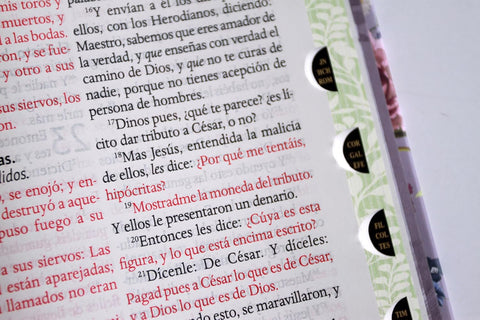 Image of Biblia RVR 1960 Letra Gigante Tapa Dura Flores Moradas Cantos Pintado Índice