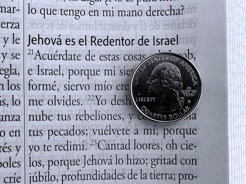 Image of Biblia RVR 1960 Letra Gigante Símil Pel Azul con Pájaros Cantos Pintados